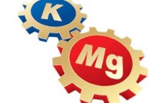 Какие продукты содержат калий и магний Какие продукты содержат калий и магний