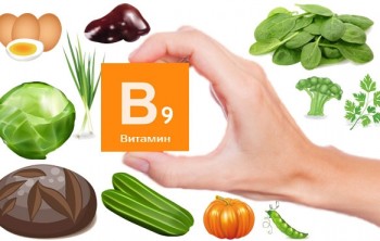 Содержание витамина В9 в продуктах: признаки недостатка Содержание витамина В9 в продуктах: признаки недостатка