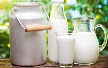 Чем полезно молоко и какой может принести вред? Чем полезно молоко и какой может принести вред?