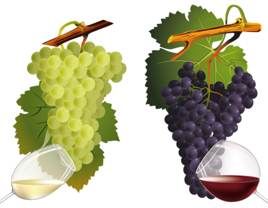 Вино и его польза Вино и его польза