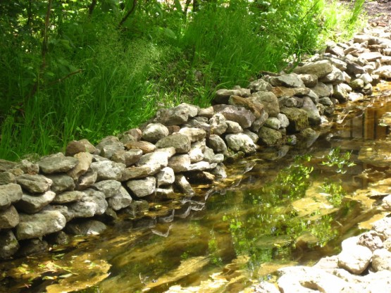 Родник с родниковой водой Родник с родниковой водой