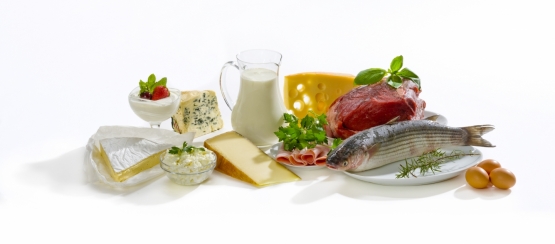 Белки в продуктах Белки в продуктах